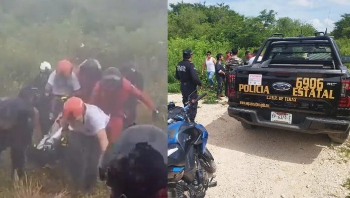 Más de una hora a pie para salvarlos: rescatan a pareja atacada por enjambre de abejas en Mérida, Yucatán