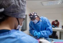 Fortalece gobierno municipal programa permanente de esterilización con casi 200 procedimientos al mes