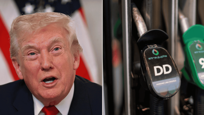 Con el diésel a más de 6 dólares, Trump flexibiliza el uso del “diésel rojo” en EE. UU.
