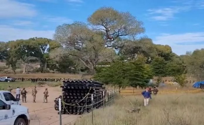 Derriban árbol de 250 años para avanzar con muro entre Sonora y Arizona