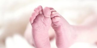 IMSS destituye a su delegada en Durango tras muerte de cinco recién nacidos en el Hospital General de Zona número 1