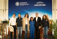 Del campo a la cerveza: la cebada mexicana detrás de una industria que genera más de 715 mil empleos