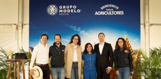 Del campo a la cerveza: la cebada mexicana detrás de una industria que genera más de 715 mil empleos