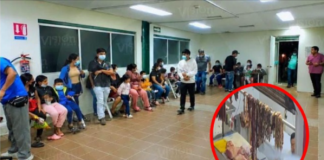 Hospitalizan a más de 30 personas tras consumir carne de cerdo en Chiapas
