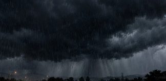 ¿Una “tormenta negra” puede llegar a México? Este es el origen y significado del término
