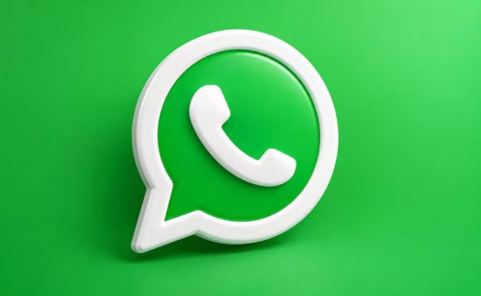 Y WHATSAPP
