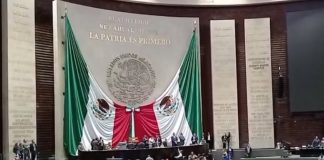 Diputados avalan en lo general “Ley Antimemes”; IMPI contempla multas de más de 4 mdp