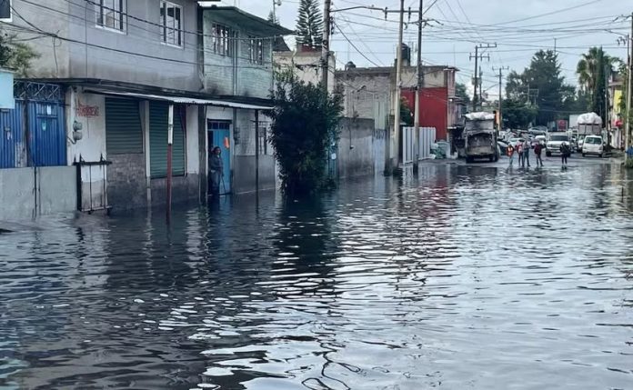 Y CLIMA