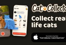 Cat Collector: La aplicación que convierte el avistamiento de gatos en un “Pokémon GO” de la vida real