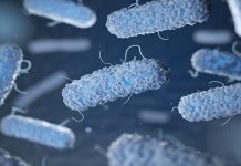 Una bacteria de transmisión sexual preocupa a EE. UU.: ya resiste cinco antibióticos