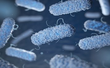 Una bacteria de transmisión sexual preocupa a EE. UU.: ya resiste cinco antibióticos