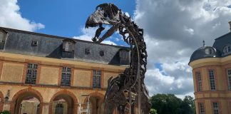 Hallan fósiles de una nueva especie de gran dinosaurio en yacimiento submarino croata; se trata de una nueva especie