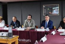 México integra grupo técnico internacional contra gusano barrenador