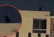 ¿Bruja o ilusión óptica? Misteriosa figura en azotea desata debate en redes | VIDEO