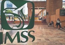 IMSS entrega 400 mdp cada año a dirigencia del sindicato