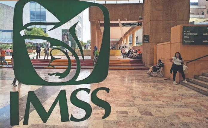 Y IMSS
