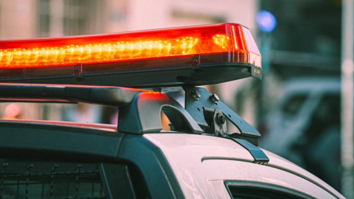 policia-leon-patrulla-detenido-atras-103909