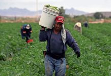 Tras shock energético, ONU advierte sobre posible crisis alimentaria mundial