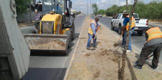 Lleva Gobierno Municipal Más Vida A Las Calles De Nuevo Laredo Con Jornada De Forestación