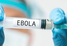 Nigeria reporta primer caso de ébola; vigilan a 44 personas que tuvieron contacto con la paciente