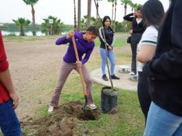 Supera gobierno municipal los 5 mil árboles plantados a través de ‘Arboleando NLD’