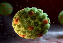 La gripe se adelanta en EE. UU. y una mutación del H1N1 preocupa a los científicos