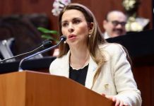 Sheinbaum reacciona a patrimonio de senadora Carolina Viggiano