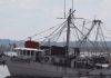 Regresan barcos camaroneros con más pesca que el año pasado, pero la venta de camarón ha bajado