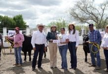 Impulsa Carmen Lilia Canturosas la ganadería local con el 2.º concurso del Novillo Gordo