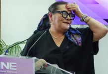 Renuncia de Guadalupe Taddei al INE activa proceso de sustitución en San Lázaro
