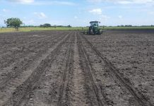 Bajos precios y deudas ponen contra las cuerdas al campo