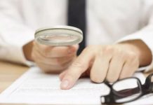 Sheinbaum anuncia nuevo portal de transparencia del gobierno federal