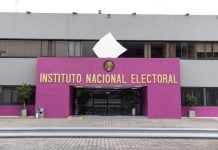 Clan Taddei tejió redes en 13 estados para ganar contratos