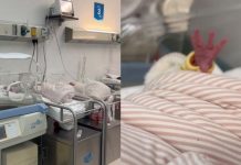¡Tres por uno! Nacen trillizos en el Hospital Materno Infantil